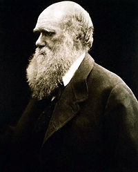 Julia Margaret Cameron’s portrait of Darwin