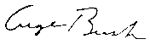 Image:George Bush signature.gif