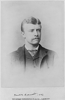 Image:TR NY State Assemblyman 1883.jpg