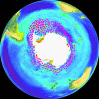 Krill distribution on a NASA SeaWIFS image &mdash; the main concentrations are in the Scotia Sea at the Antarctic Peninsula
