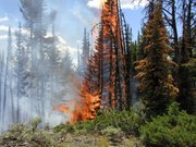 Fire in Yellowstone National Park