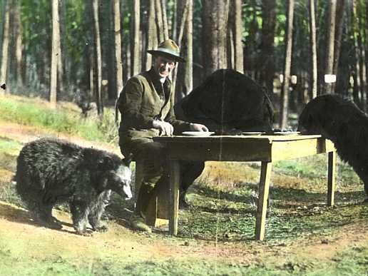 Image:Bear dinner 1922.jpg .jpg