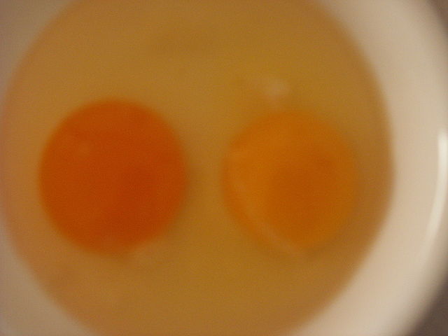 Image:Eggess.JPG