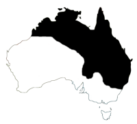 Distribution of Litoria caerulea (in black) on the Australian continent