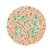 Example of an Ishihara color test plate. The numeral "74" should be clearly visible to viewers with normal color vision. Viewers with dichromacy or anomalous trichromacy may read it as "21", and viewers with achromatopsia may see nothing.