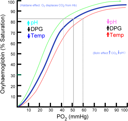 Image:Oxyhaemoglobin dissociation curve.png