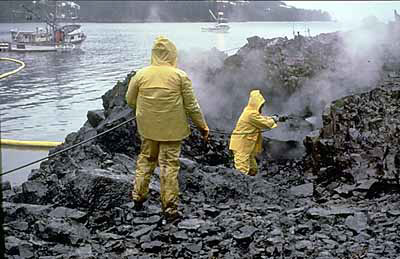 Image:OilCleanupAfterValdezSpill.jpeg