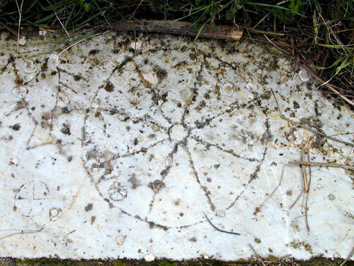 C:\Documents and Settings\张\®à±\index.5.jpg