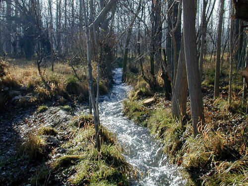 C:\Documents and Settings\张\®à±\index.18.jpg