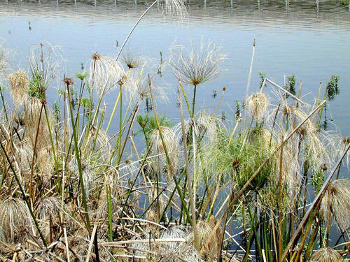 C:\Documents and Settings\张\®à±\index.48.jpg