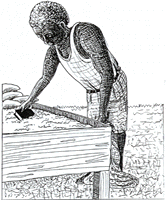 30.gif (21902 字節)