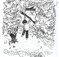 42.gif (27750 字節)