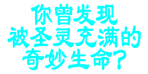 spirit1.gif (4543 bytes)